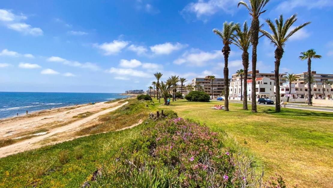 Apartamento Villa Amalia Torrevieja Eksteriør billede