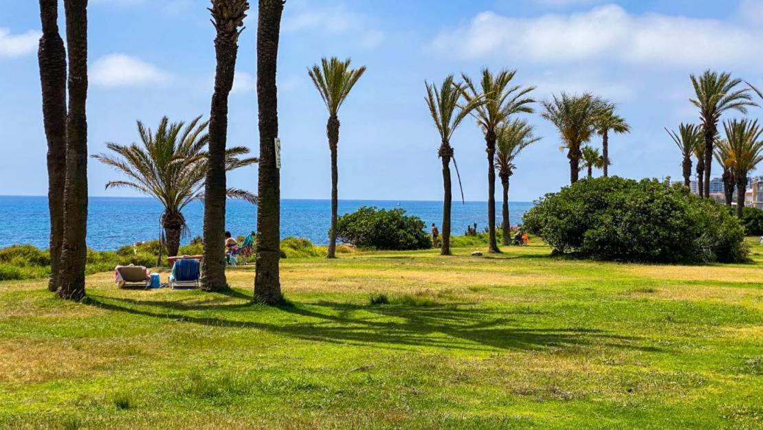 Apartamento Villa Amalia Torrevieja Eksteriør billede